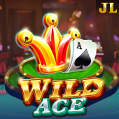 Wild Ace Slot on TotoOne